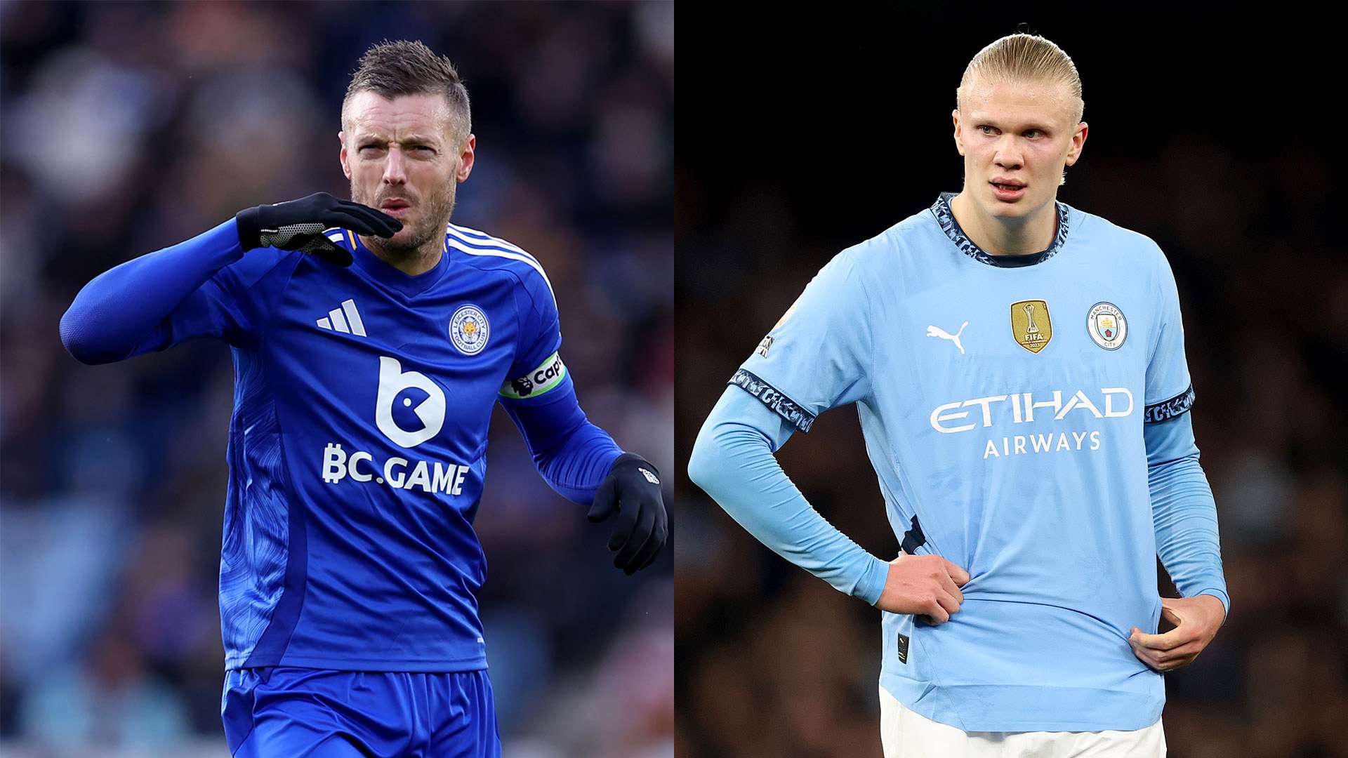 正是霍莱什 正是霍莱什