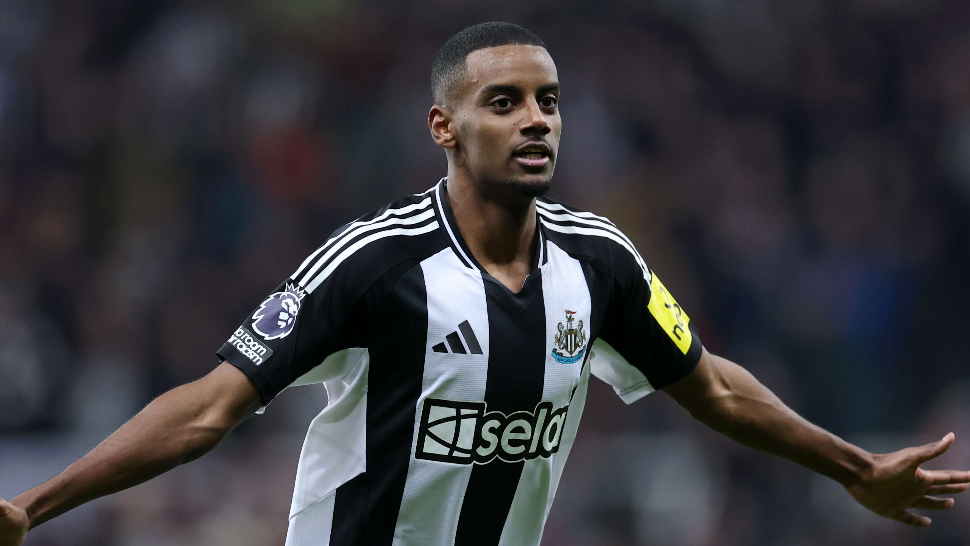 深耕本土市 深耕本土市